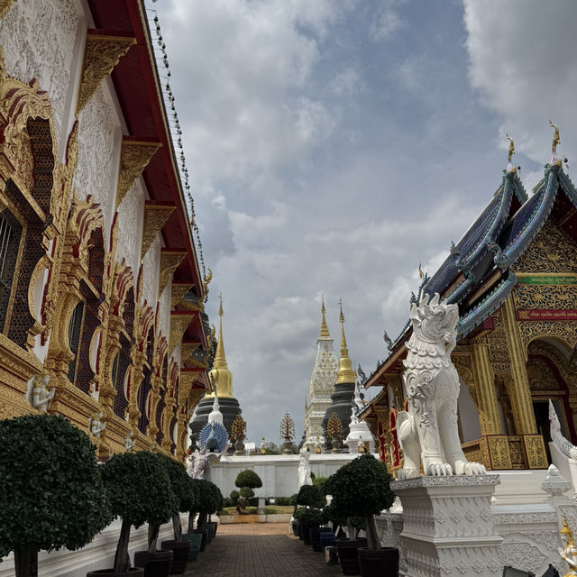 แพลนเที่ยวเชียงใหม่ 1 วัน