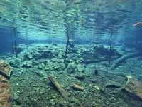 【グラン・セノーテ（Gran Cenote）｜神秘の光と水に包まれる夢のような洞窟泉】