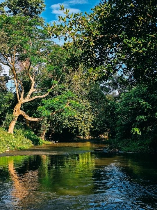 ชุมชนท่องเที่ยว บ้านท่ามะปรางค์
