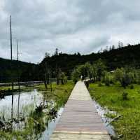 Find tranquility trekking through nature’s beauty