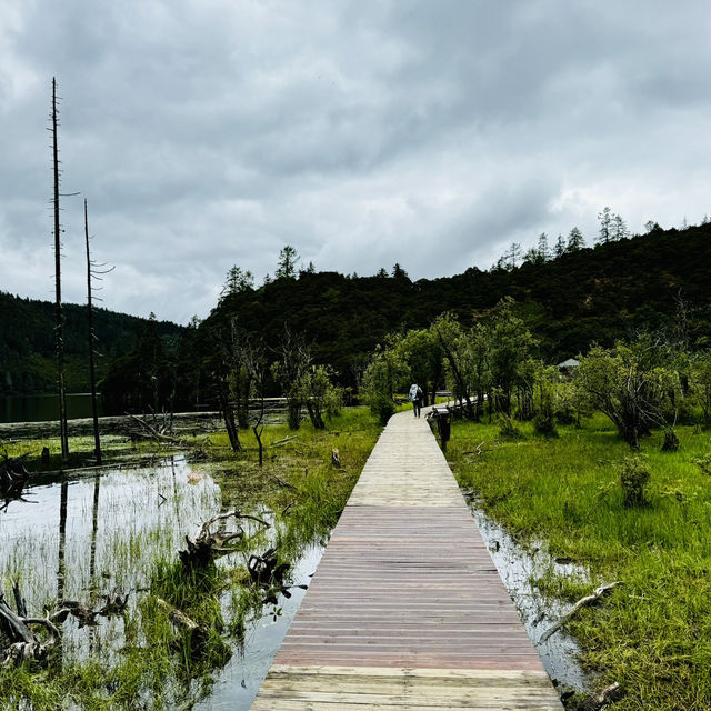 Find tranquility trekking through nature’s beauty