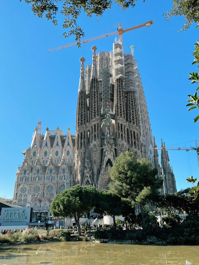 【人類皆訪れるべし】バルセロナの宝石箱・サグラダファミリア