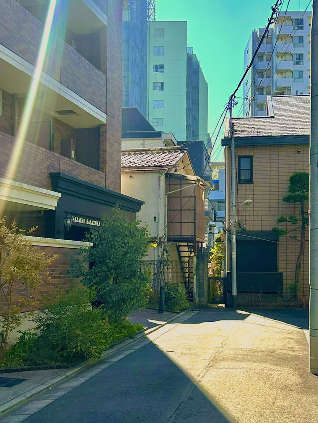 소박한 매력이 가득한 후쿠오카 3박 4일 여행기 🍣🥢
