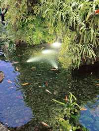 “The Enchanted Garden at Changi T2: A Serene Escape in the Sky”
