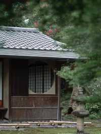 【レトロ建築の美学✨】旧三井倶楽部で優雅な時間旅行を
