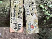 草山觀瀑吊橋。猴崁圳古道