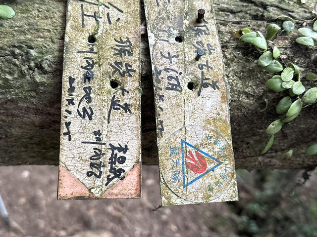 草山觀瀑吊橋。猴崁圳古道