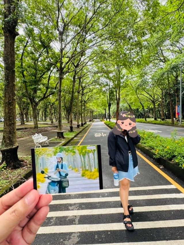 A Walk Down "Meteor Garden" Lane - Ying De University (NCCU, Chiayi)