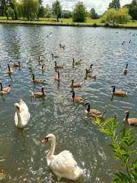 Caversham Court