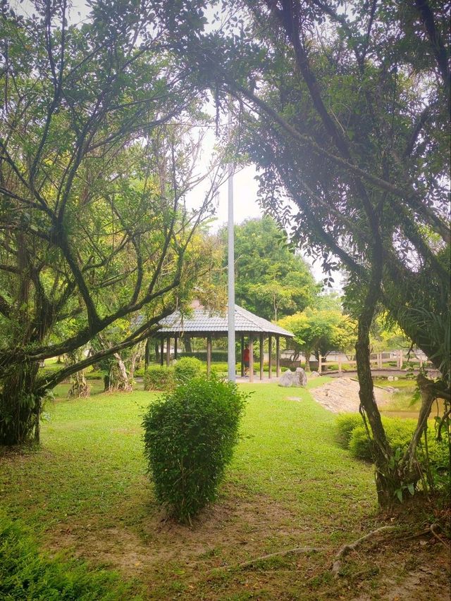 🌸 Discover Tranquility at Taman Jepun , Ipoh 🌸