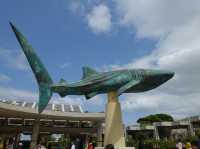 🐠 Dive into Wonder at Okinawa Churaumi Aquarium