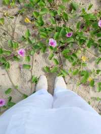 เที่ยวทะเลดานัง •Mykhe Beach•