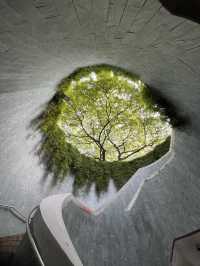 Fort Canning Park สิงคโปร์ 🌿 เดินเล่นชิลๆ ถ่ายรูป