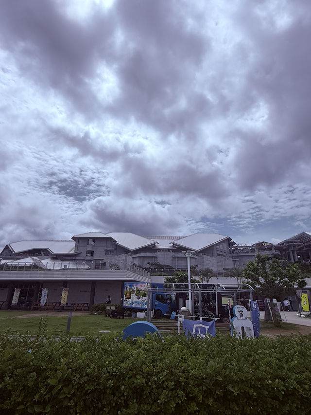 沖繩｜再遠都值得跑一趟 美麗海水族館的黑潮之美