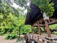 京都 | 梨木神社，開滿幸運草和名水的靜謐神社
