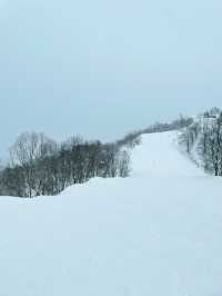 【富山】立山山麓スキー場