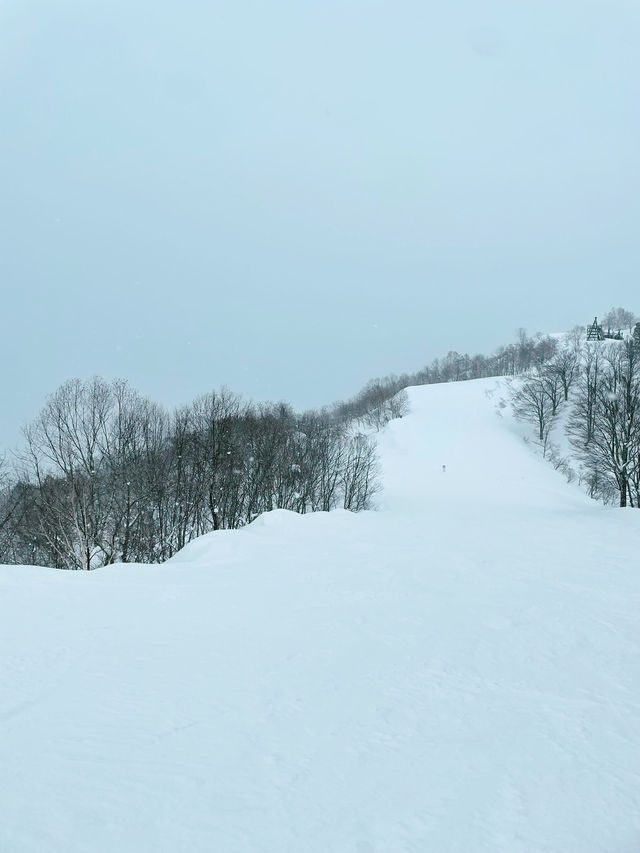 【富山】立山山麓スキー場