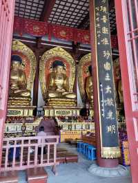 🏯唐대 건축미 그대로! 당산 大唐兴国禅寺 산책기✨