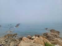 🌾잔잔한 바다 위 섬 산책, 칭따오 小麦岛에서 힐링하기🌊
