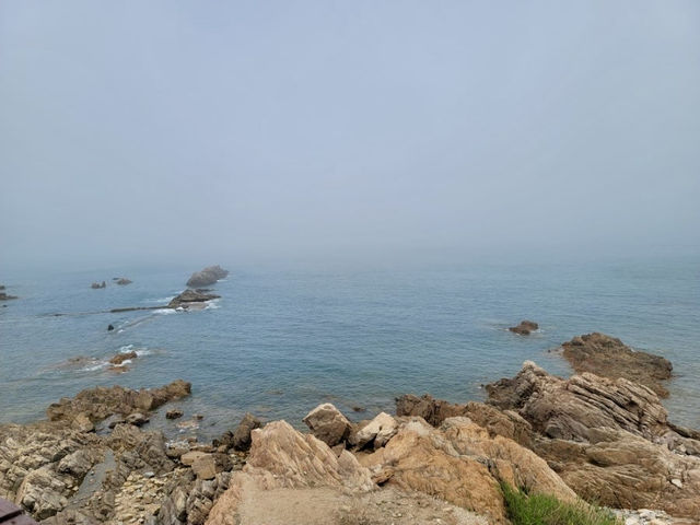 🌾잔잔한 바다 위 섬 산책, 칭따오 小麦岛에서 힐링하기🌊