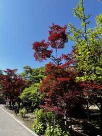 「極楽浄土に一番近い場所が、長野にあるって知っていましたか？」