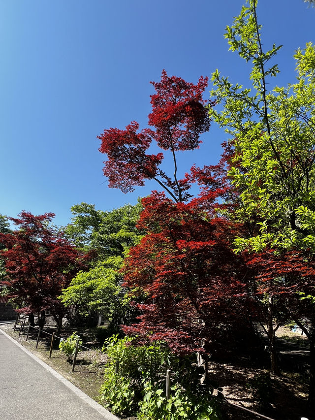 「極楽浄土に一番近い場所が、長野にあるって知っていましたか？」