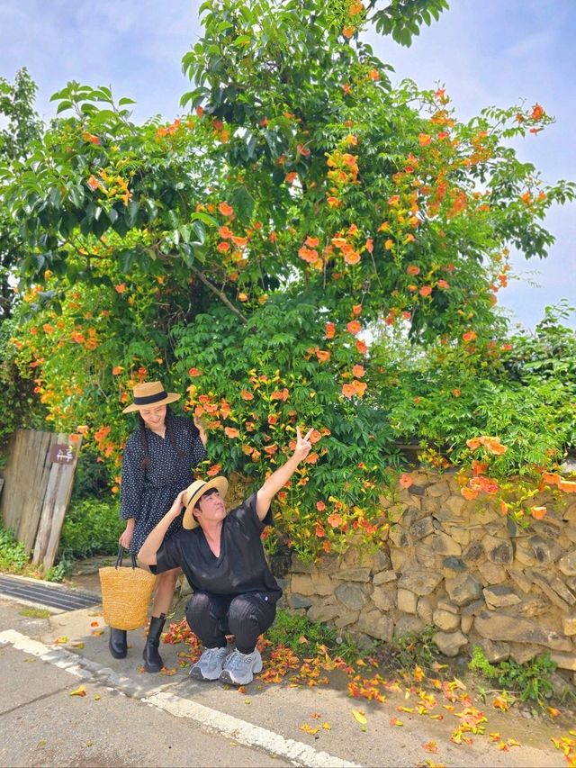 능소화랑 인생샷 담을 구례여행지🧡