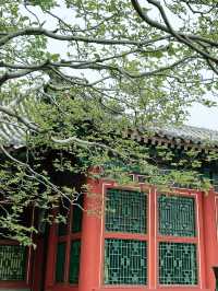 頤和園～穿越看慈禧的奢華生活