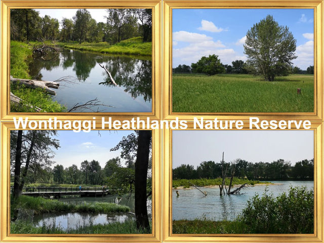 ～寂靜詩篇～Wonthaggi Heathlands保護區～