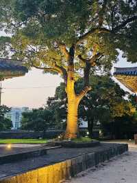 Stepping Back into Joseon Dynasty Jeju