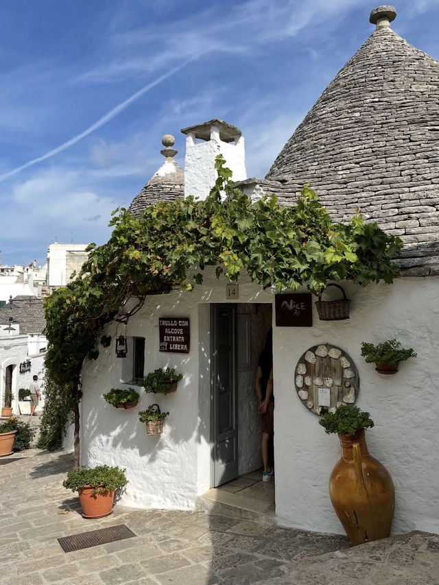 【おとぎ話の世界へ】アルベロベッロでトゥルッリの街並みに癒される旅🏡✨