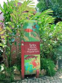 “Explore Malaysia’s Aquatic Wonders at Akuarium Negara”