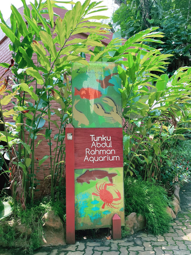 “Explore Malaysia’s Aquatic Wonders at Akuarium Negara”