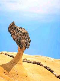 Nature’s Art at Yehliu Geological Park