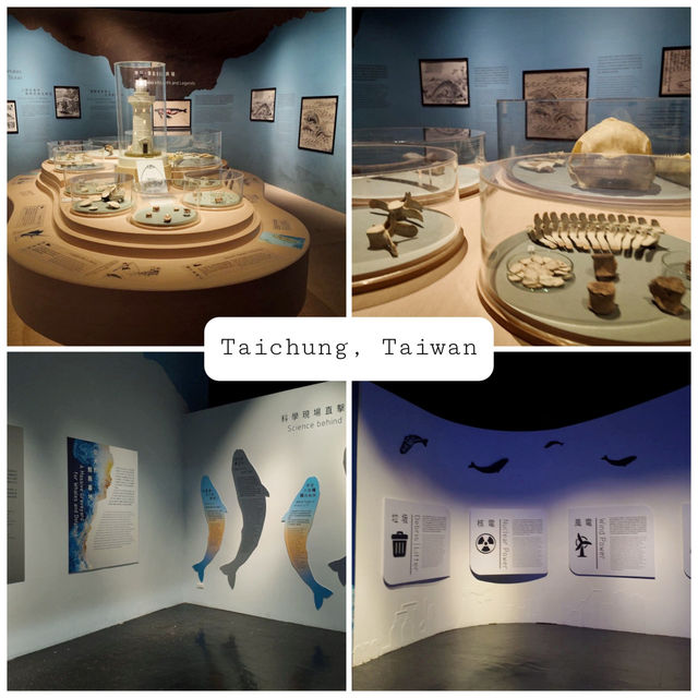 นิทรรศการ Giant Unearthed - A Taiwan Whale’s Tale