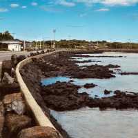 A Peaceful Local Beach for Tranquil Relaxation