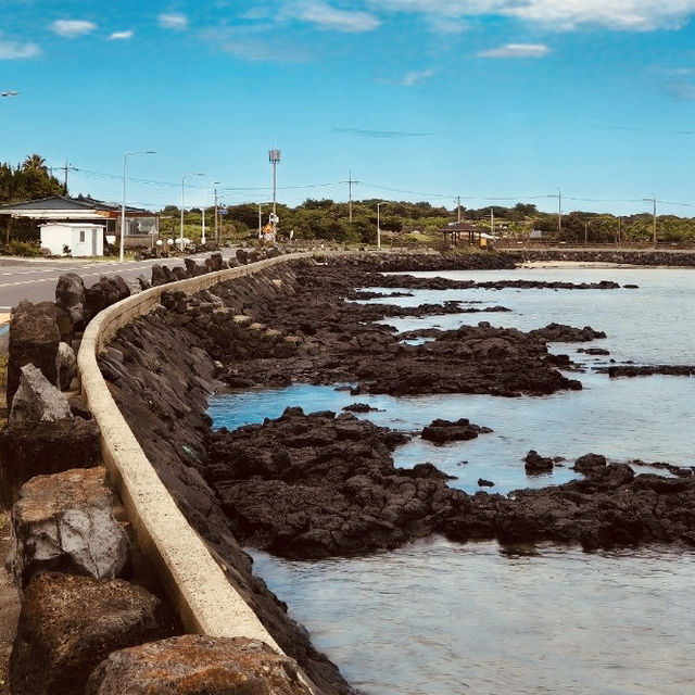 A Peaceful Local Beach for Tranquil Relaxation