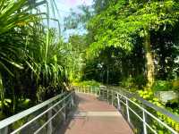 Venture into Mysterious Papua