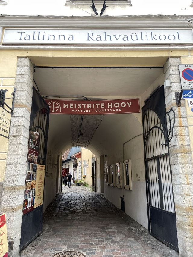 🛳️✨ 헬싱키에서 떠나는 동화 속 하루 여행 Tallinn 당일치기 투어 가이드 🇪🇪💙