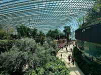 Global Gardens in One Dome