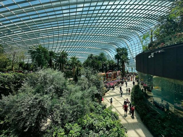 Global Gardens in One Dome