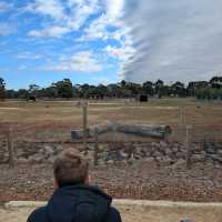 Werribee Open Range Zoo – Melbourne