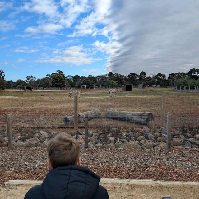 Werribee Open Range Zoo – Melbourne
