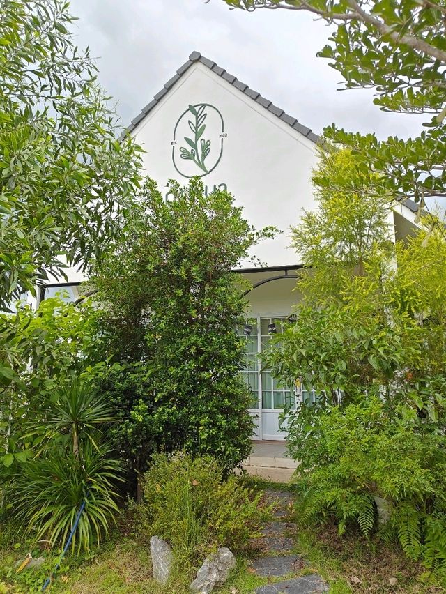 คาเฟ่ร้านอาหาร  จ.เลย ขากลับจากงานผีตาโขน