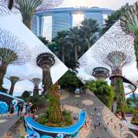 Art, Nature & City Vibes - Perfect for Explorers