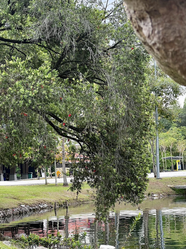 Taman Tasik Titiwangsa – KL’s Most Scenic Escape