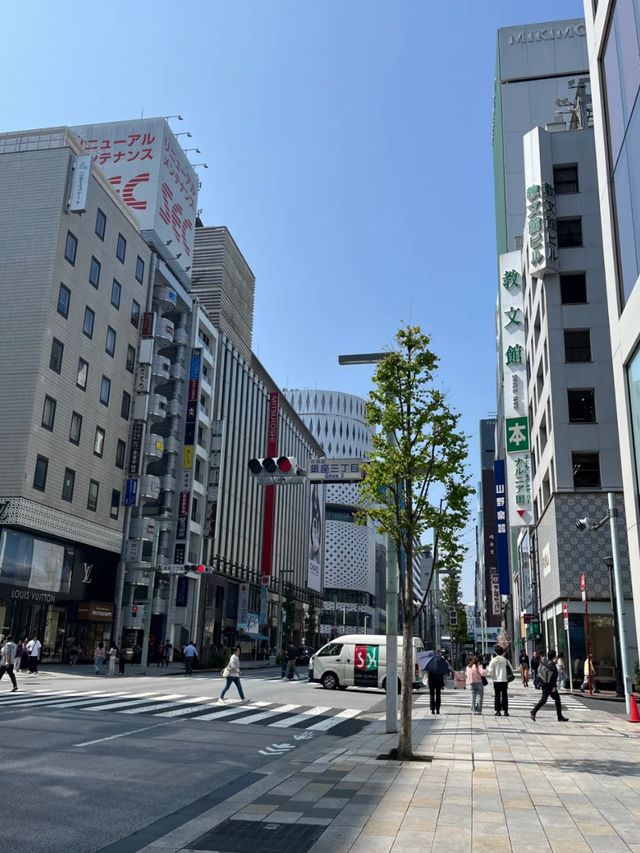 Tokyo in Style: Exploring the Magic of Ginza