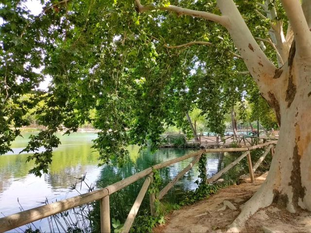 Lake Day Bliss at Albufera de Anna