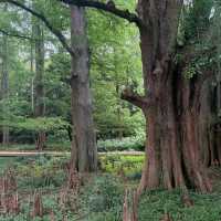 Shinjuku Gyoen National Garden