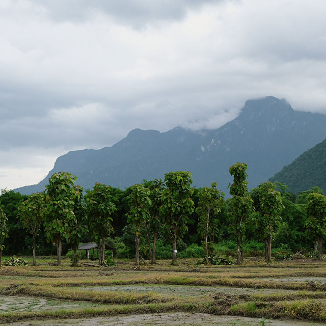 บ้านโอบอุ่น - เชียงใหม่
